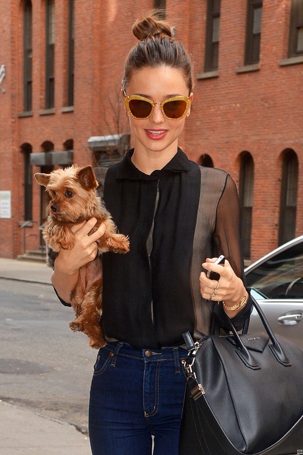 Ünlüler ve hayvanları 19