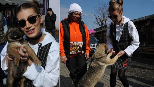 Ünlüler ve hayvanları 2