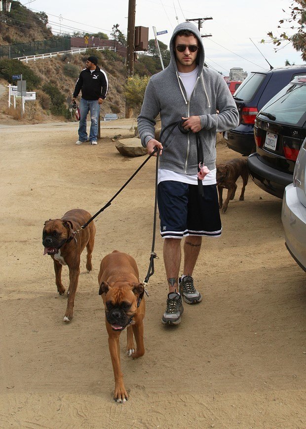 Ünlüler ve hayvanları 20