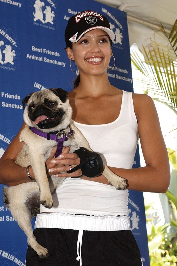 Ünlüler ve hayvanları 30