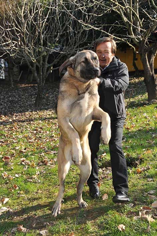 Ünlüler ve hayvanları 32