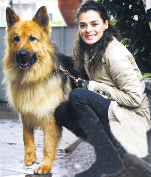 Ünlüler ve hayvanları 37