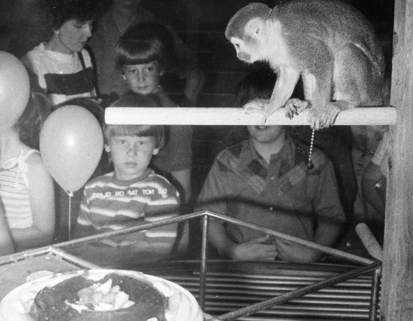 Uzaya yollanan hayvanlar 15