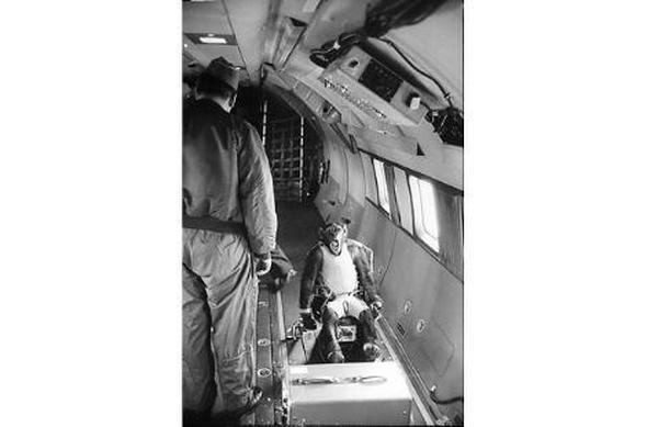 Uzaya yollanan hayvanlar 16