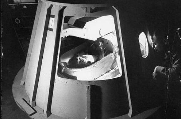 Uzaya yollanan hayvanlar 20