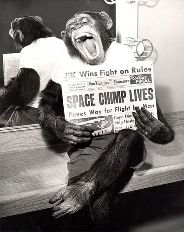 Uzaya yollanan hayvanlar 25