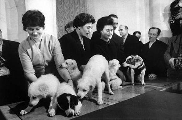 Uzaya yollanan hayvanlar 4