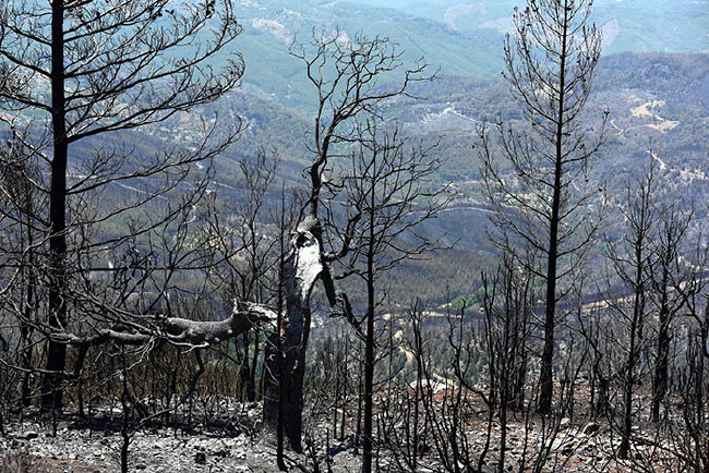 Ciğerlerimiz yandı 11