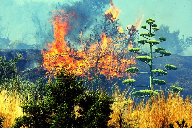 Ciğerlerimiz yandı 2