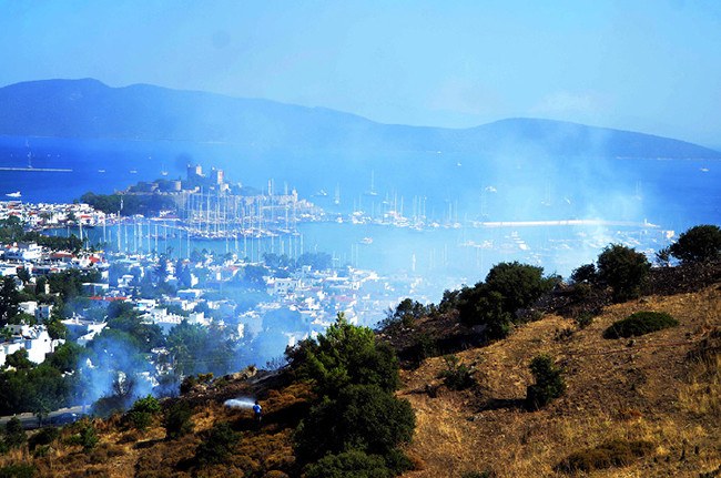 Ciğerlerimiz yandı 5