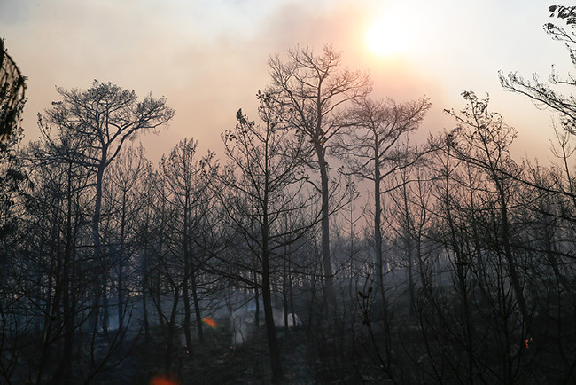 Ciğerlerimiz yandı 15