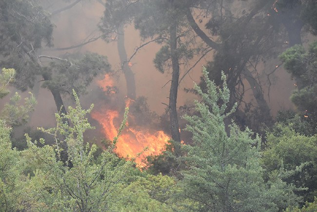 Ciğerlerimiz yandı 17