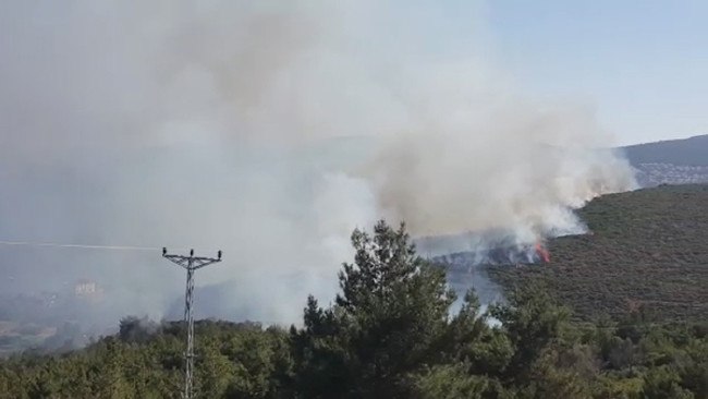 Ciğerlerimiz yandı 22