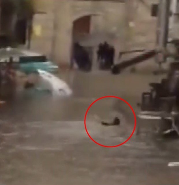 Sağanak gibi fotoğraf yağdı 2