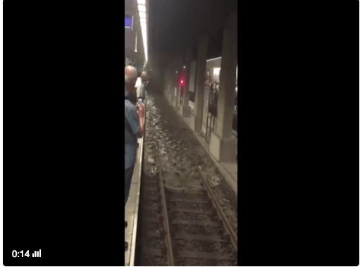 Sağanak gibi fotoğraf yağdı 79