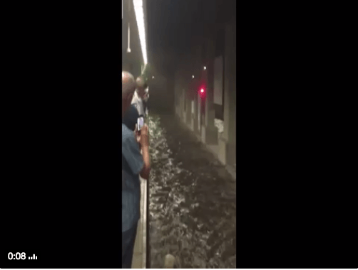 Sağanak gibi fotoğraf yağdı 80