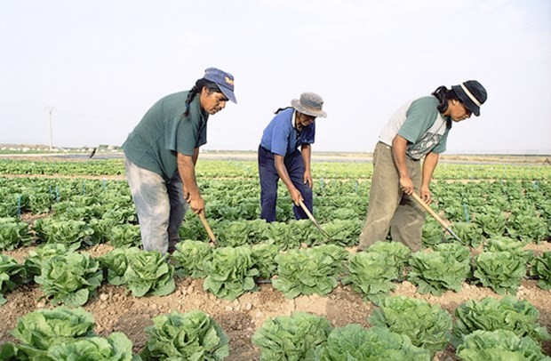 Teknolojinin bitireceği meslekler 12