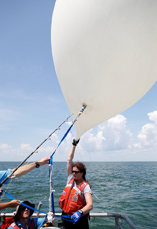 'Tam' çılgınlık 12