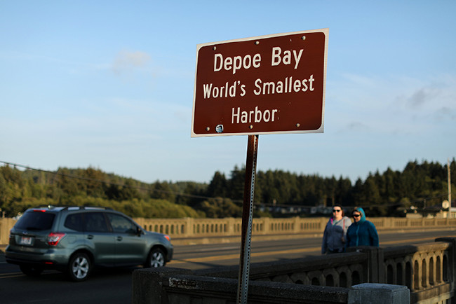 'Tam' çılgınlık 13