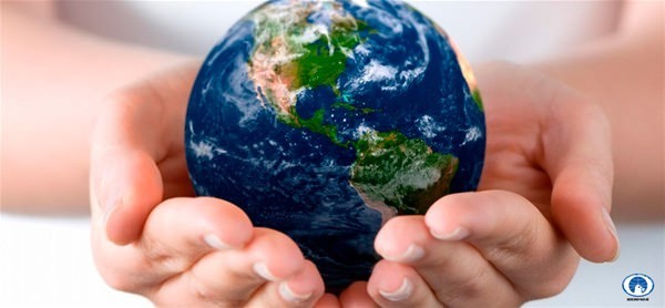 Nostradamus'un kehanetleri gerçek mi oluyor? 8