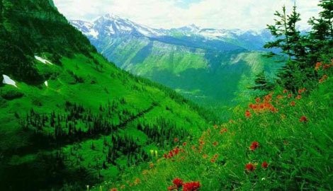 Nostradamus'un kehanetleri gerçek mi oluyor? 48