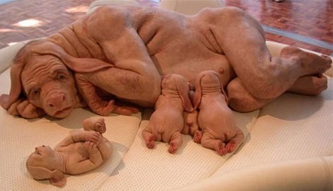 Nostradamus'un kehanetleri gerçek mi oluyor? 52