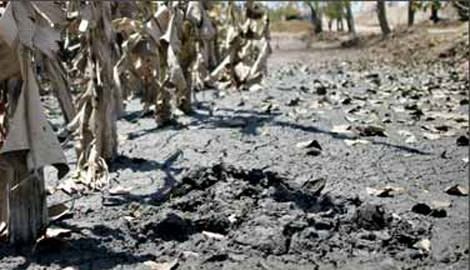 Nostradamus'un kehanetleri gerçek mi oluyor? 54