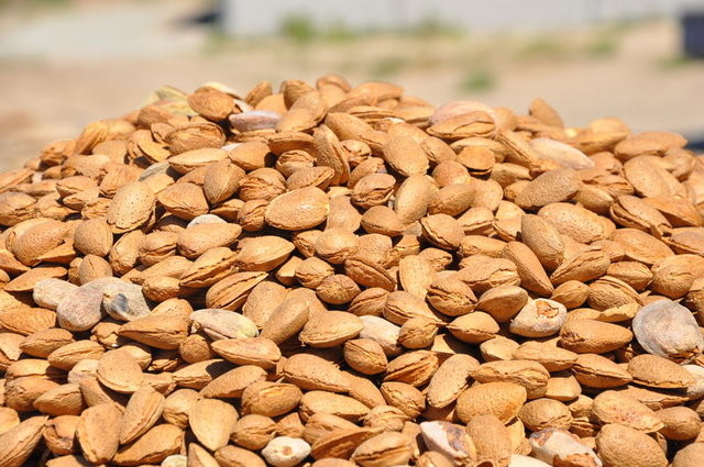 Bademin faydaları saymakla bitmiyor 1