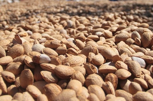 Bademin faydaları saymakla bitmiyor 10