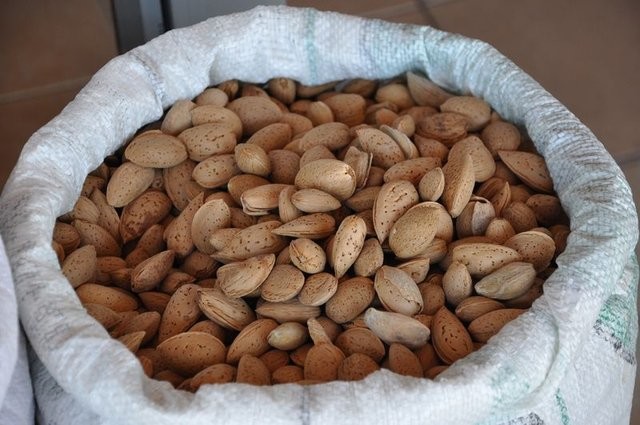 Bademin faydaları saymakla bitmiyor 12