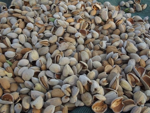 Bademin faydaları saymakla bitmiyor 13