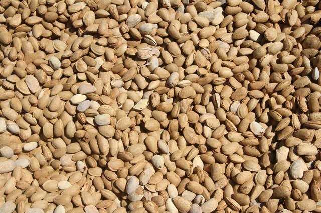 Bademin faydaları saymakla bitmiyor 5