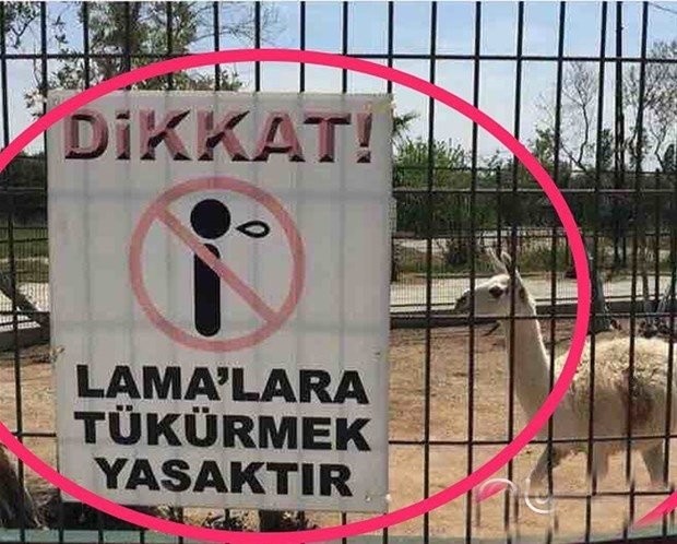 Yurdum insanının güldüren halleri 14