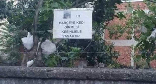 Yurdum insanının güldüren halleri 23