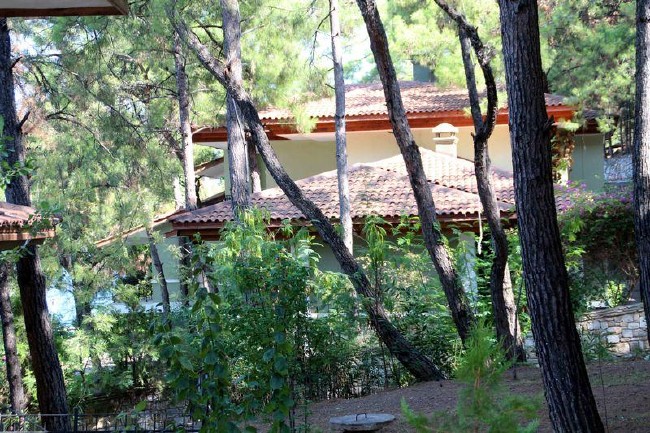 Erdoğan'a suikast girişimi fotoğrafları ilk kez yayınlandı 4