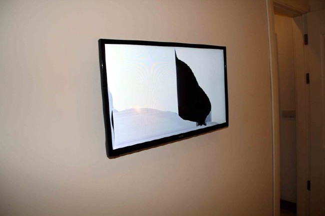 Erdoğan'a suikast girişimi fotoğrafları ilk kez yayınlandı 17