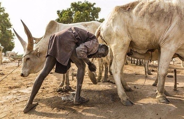 Amazon ormanlarındaki kabile ilk kez görüntülendi 17