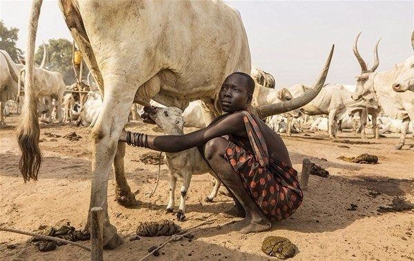 Amazon ormanlarındaki kabile ilk kez görüntülendi 22