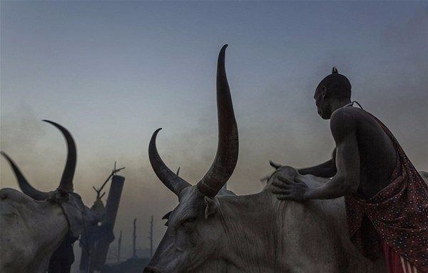 Amazon ormanlarındaki kabile ilk kez görüntülendi 24