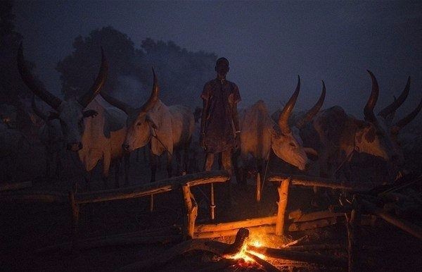 Amazon ormanlarındaki kabile ilk kez görüntülendi 27