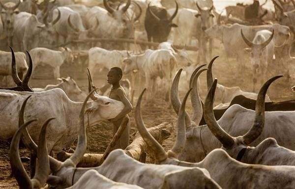 Amazon ormanlarındaki kabile ilk kez görüntülendi 28