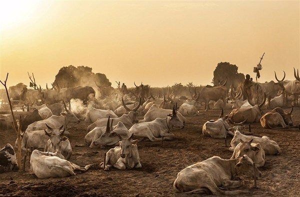 Amazon ormanlarındaki kabile ilk kez görüntülendi 30