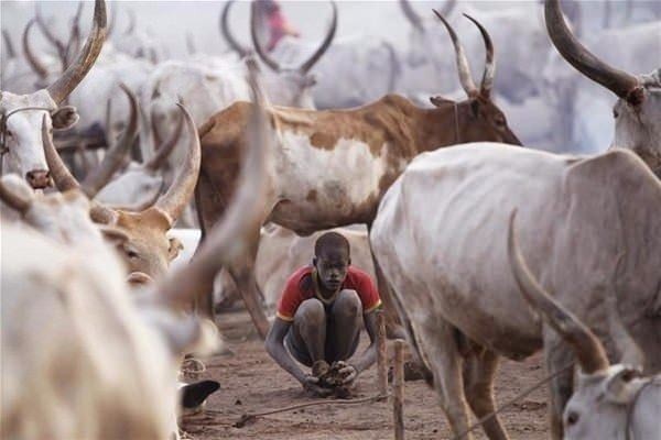 Amazon ormanlarındaki kabile ilk kez görüntülendi 33