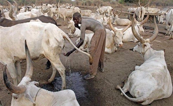 Amazon ormanlarındaki kabile ilk kez görüntülendi 40