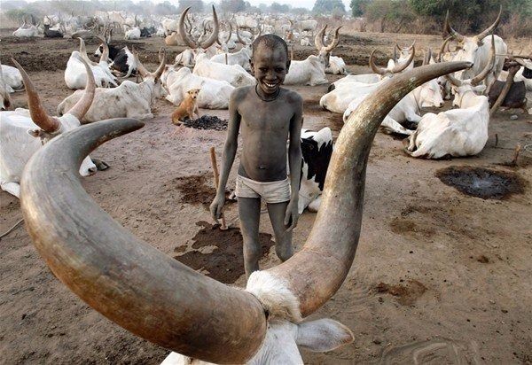 Amazon ormanlarındaki kabile ilk kez görüntülendi 36