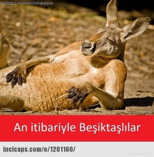 Galatasaray-Fenerbahçe maçı capsleri 6