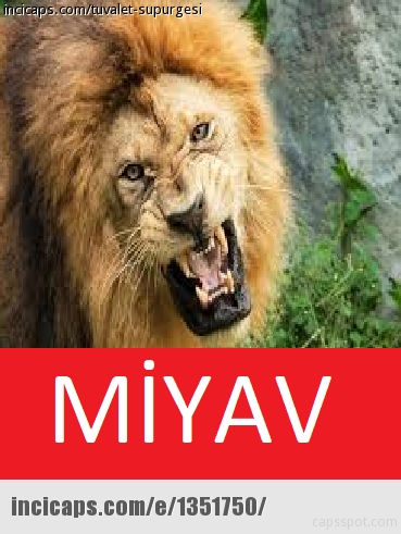 Beşiktaş Galatasaray maçı capsleri patladı 32