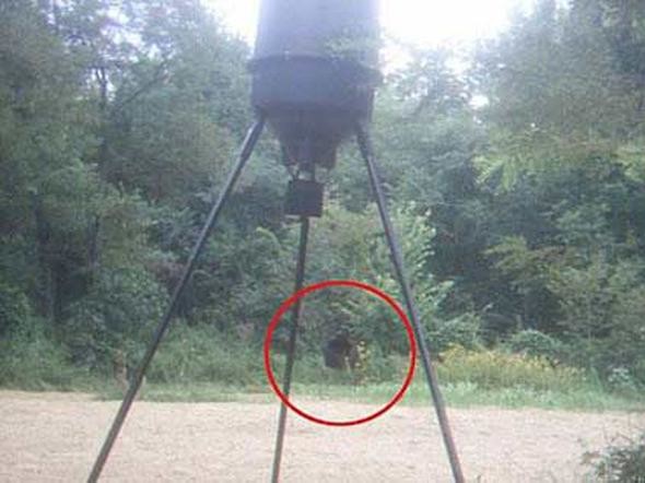 Kocaayak efsanesi gerçek mi? 1