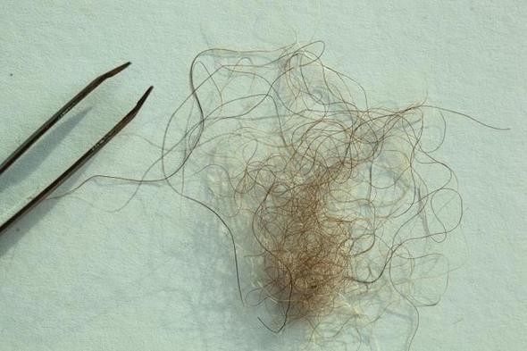 Kocaayak efsanesi gerçek mi? 10