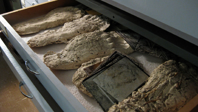 Kocaayak efsanesi gerçek mi? 14